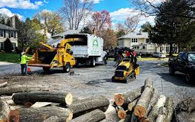 Best Tree Risk Assessment  in Dyer, IN